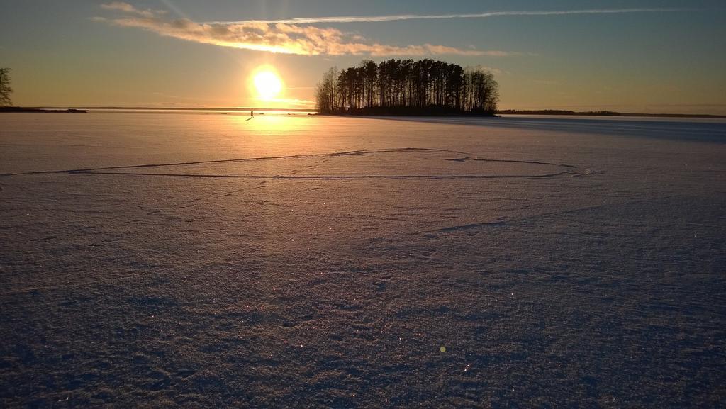 Koivuniemi Cottage Säkylä Kültér fotó
