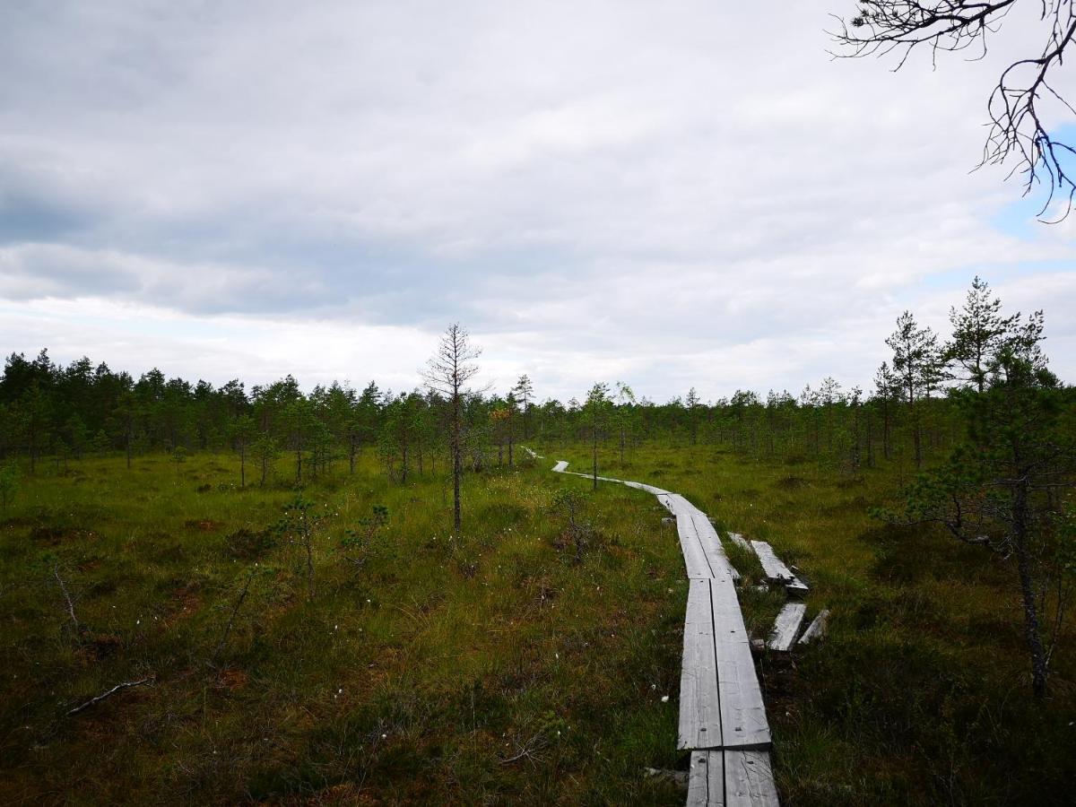 Koivuniemi Cottage Säkylä Kültér fotó