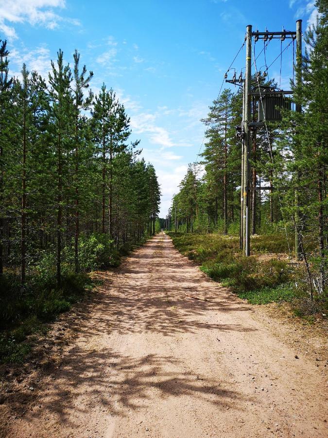Koivuniemi Cottage Säkylä Kültér fotó
